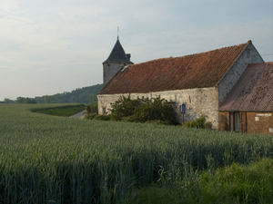 Désinsectisation dératisation Vierzon